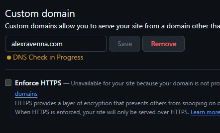 Screenshot showing GitHub Pages settings that "DNS Check in Progress"