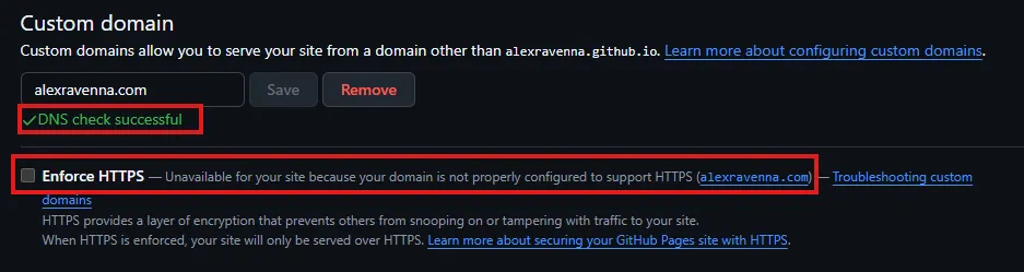 Screenshot showing GitHub Pages settings with successful DNS check but no HTTPS possible